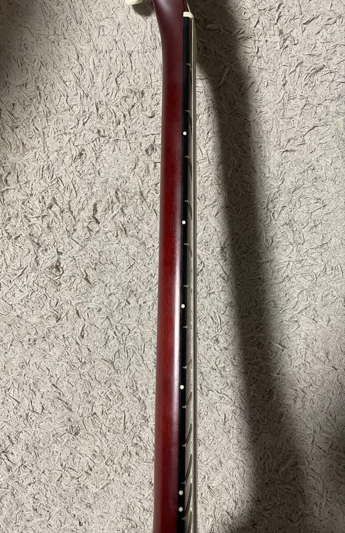 D*W様 【レア美品】ゴダン Godin ACS Slim SA ナイロンギター