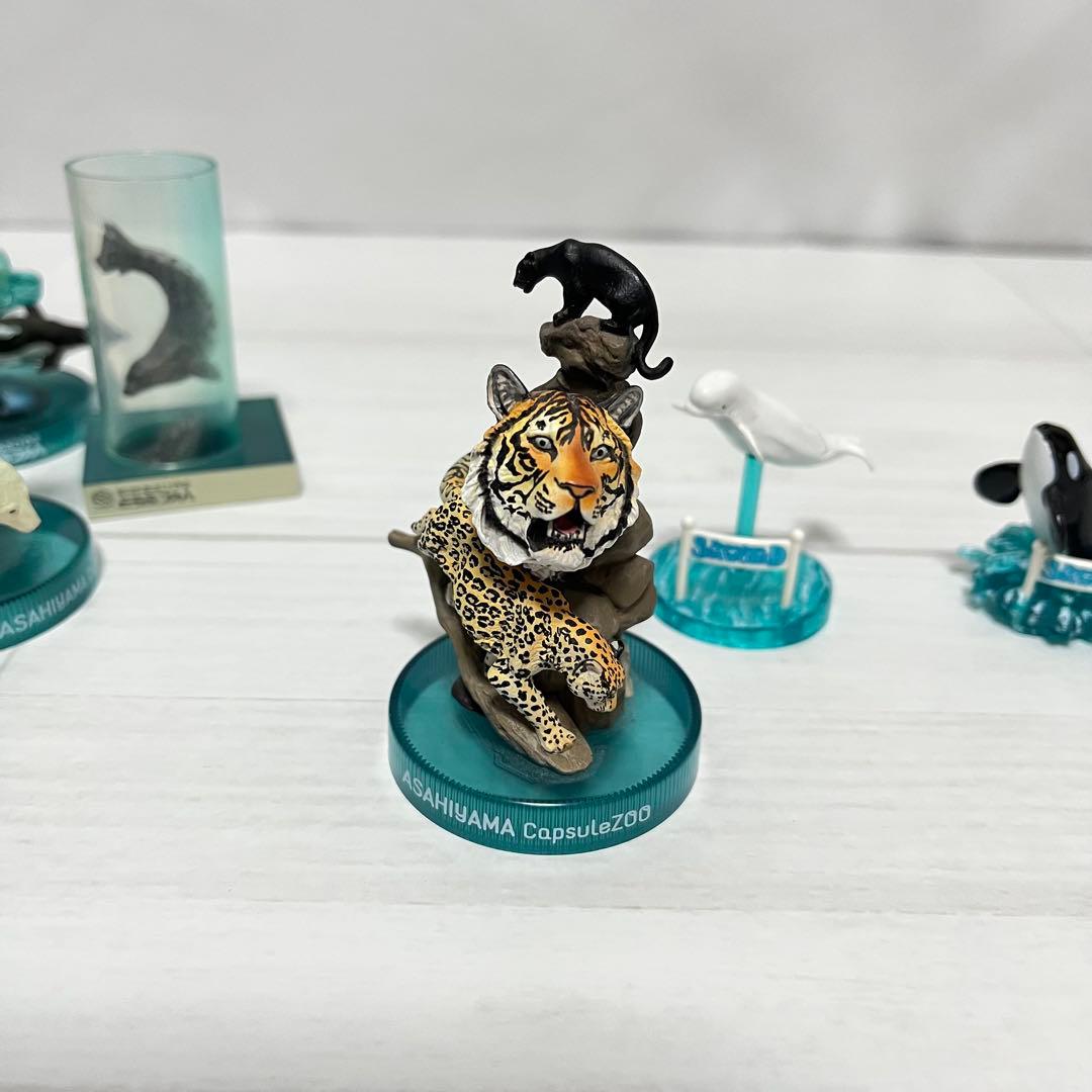 海洋堂　江ノ島水族館　旭山動物園　鴨川シーワールド　フィギュア　6体セット　希少