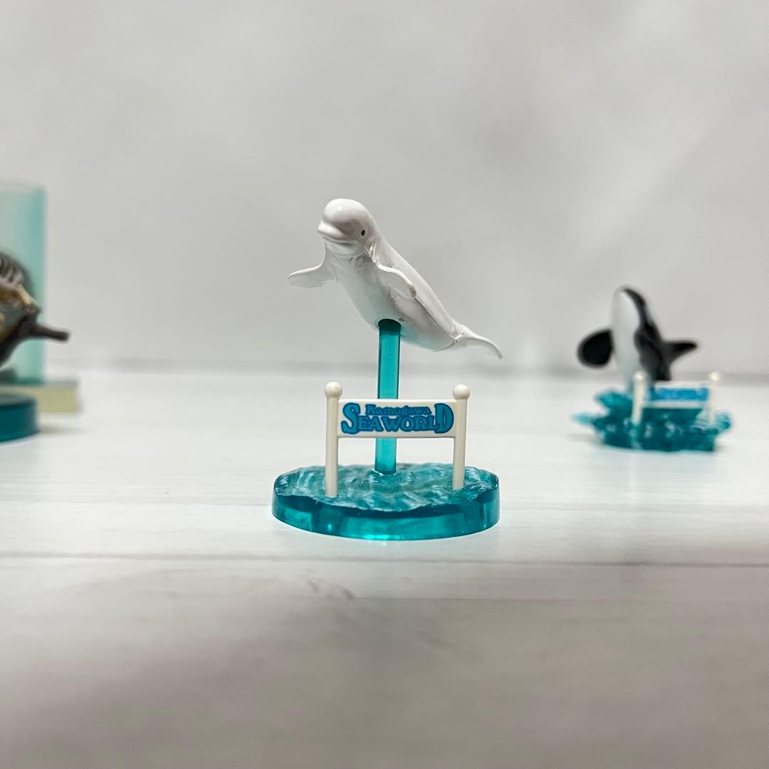 海洋堂　江ノ島水族館　旭山動物園　鴨川シーワールド　フィギュア　6体セット　希少