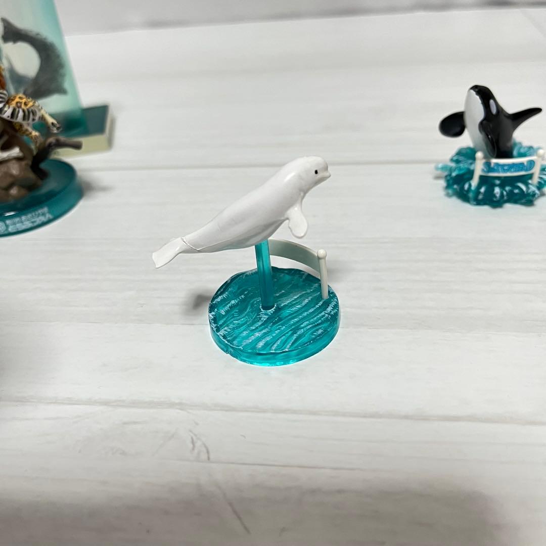 海洋堂　江ノ島水族館　旭山動物園　鴨川シーワールド　フィギュア　6体セット　希少