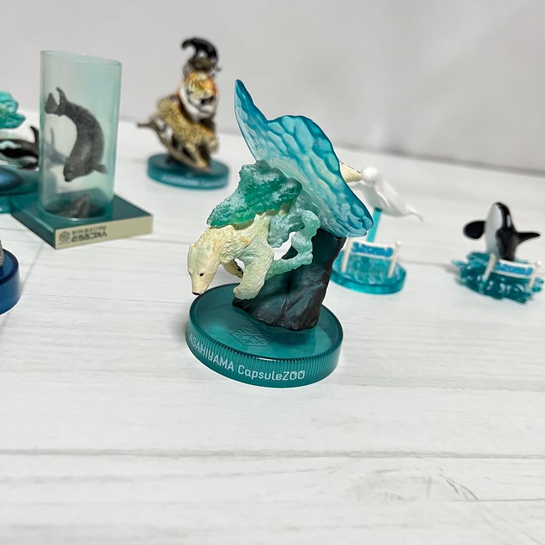 海洋堂　江ノ島水族館　旭山動物園　鴨川シーワールド　フィギュア　6体セット　希少