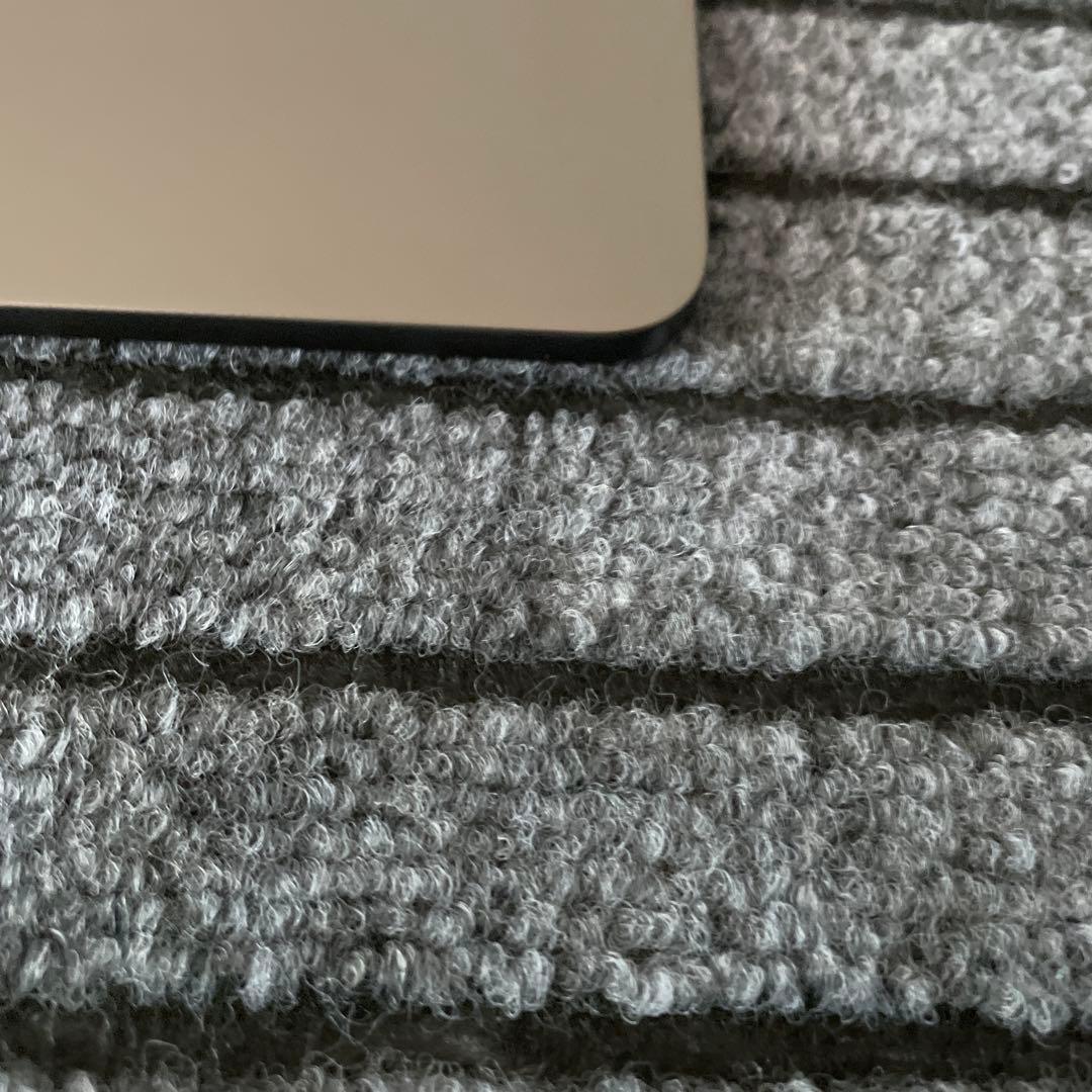 10 iPad Pro 12.9インチ 4世代 256GB Wi-Fi グレイ