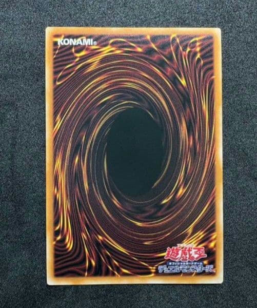 霊王の波動 ドミナスインパルス・精霊術の使い手・カオスアンヘルー混沌の双翼