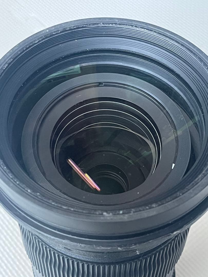 SIGMA 60-600mm F4.5-6.3 DGOSHSM(Nikon用)