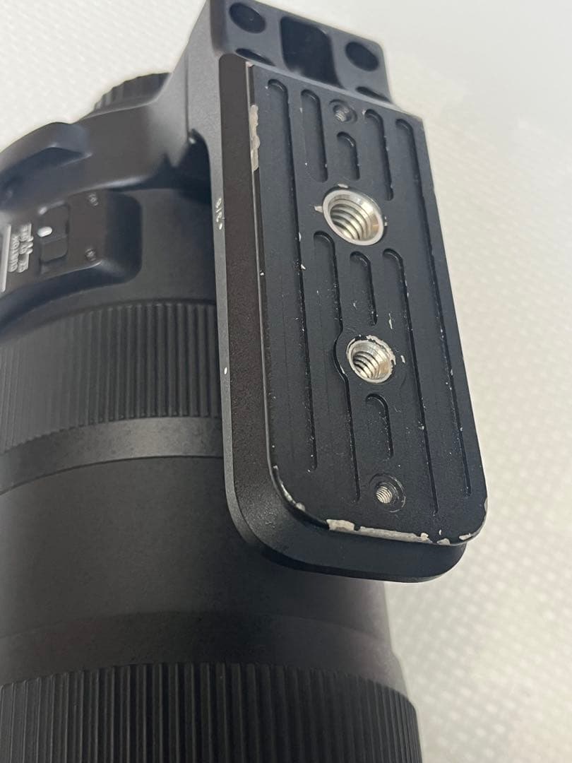 SIGMA 60-600mm F4.5-6.3 DGOSHSM(Nikon用)