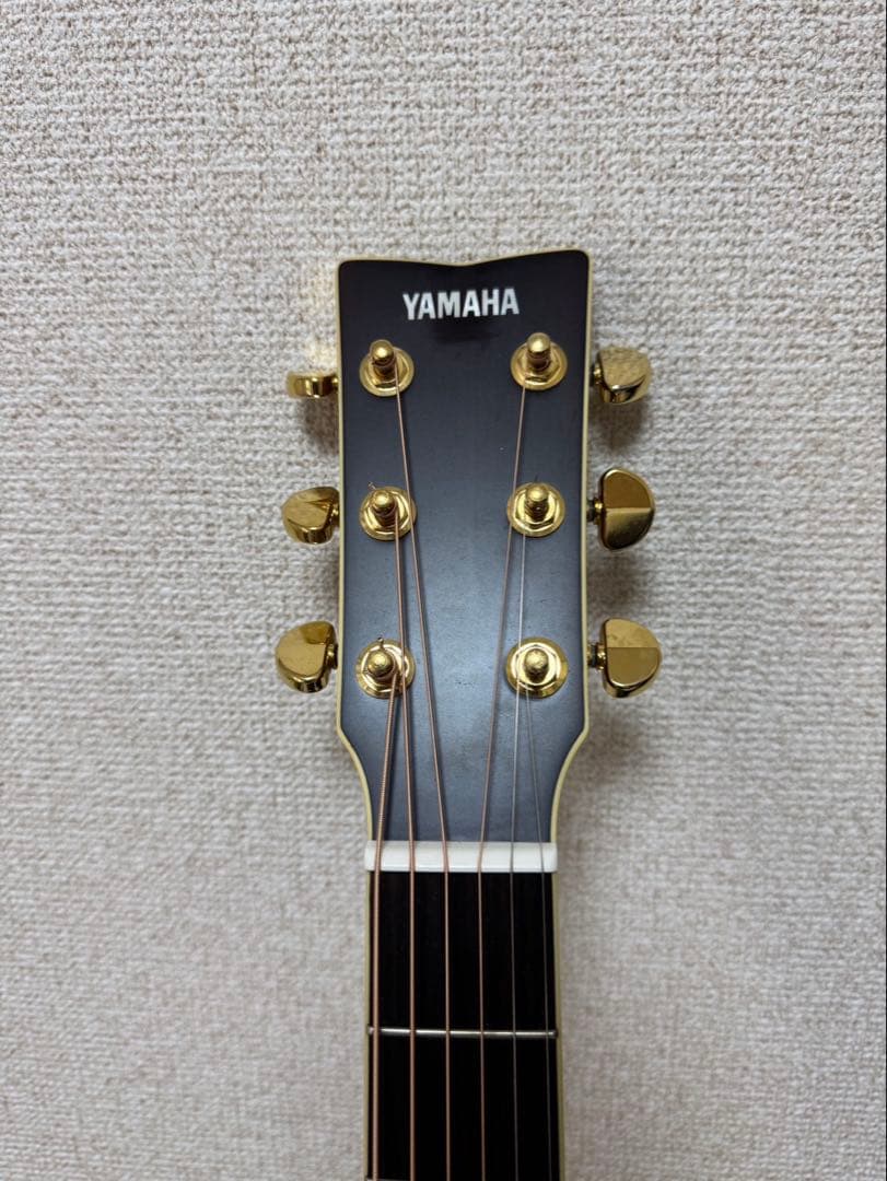 ギター Yamaha LS6