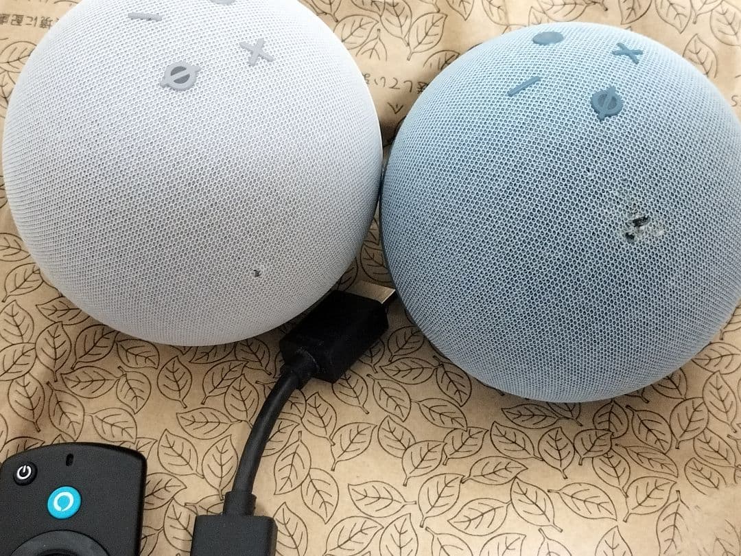 Echo dot 2台+Fire TV 4K MAXセット