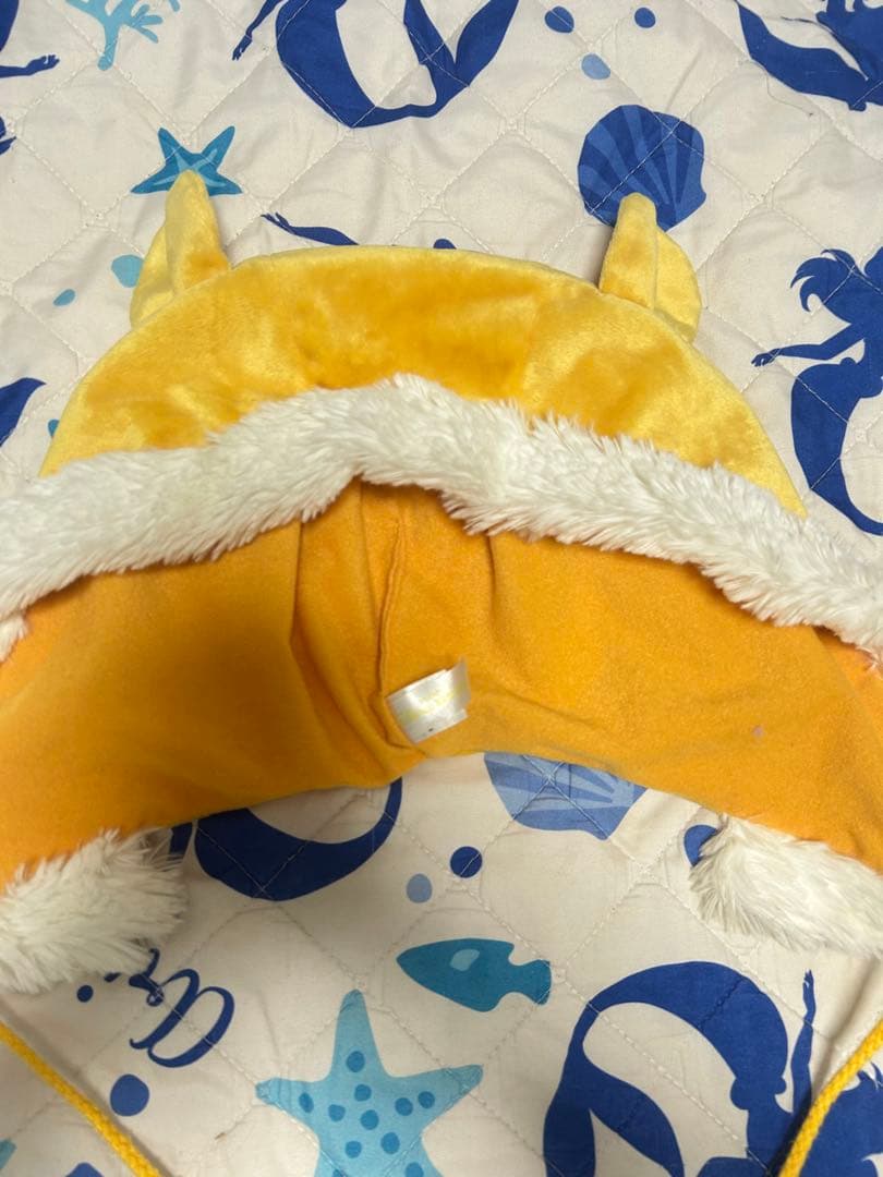 ディズニー　プーさんファンキャップ