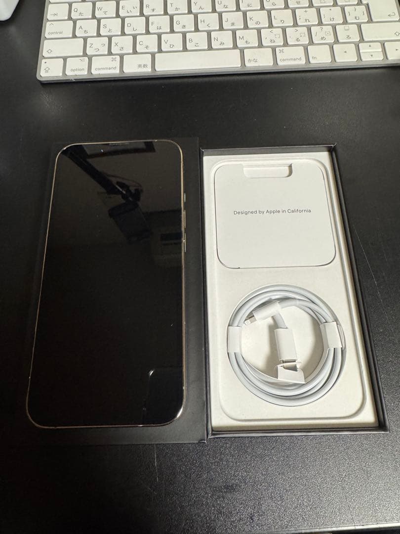 iPhone 13 Pro 1TB ゴールド