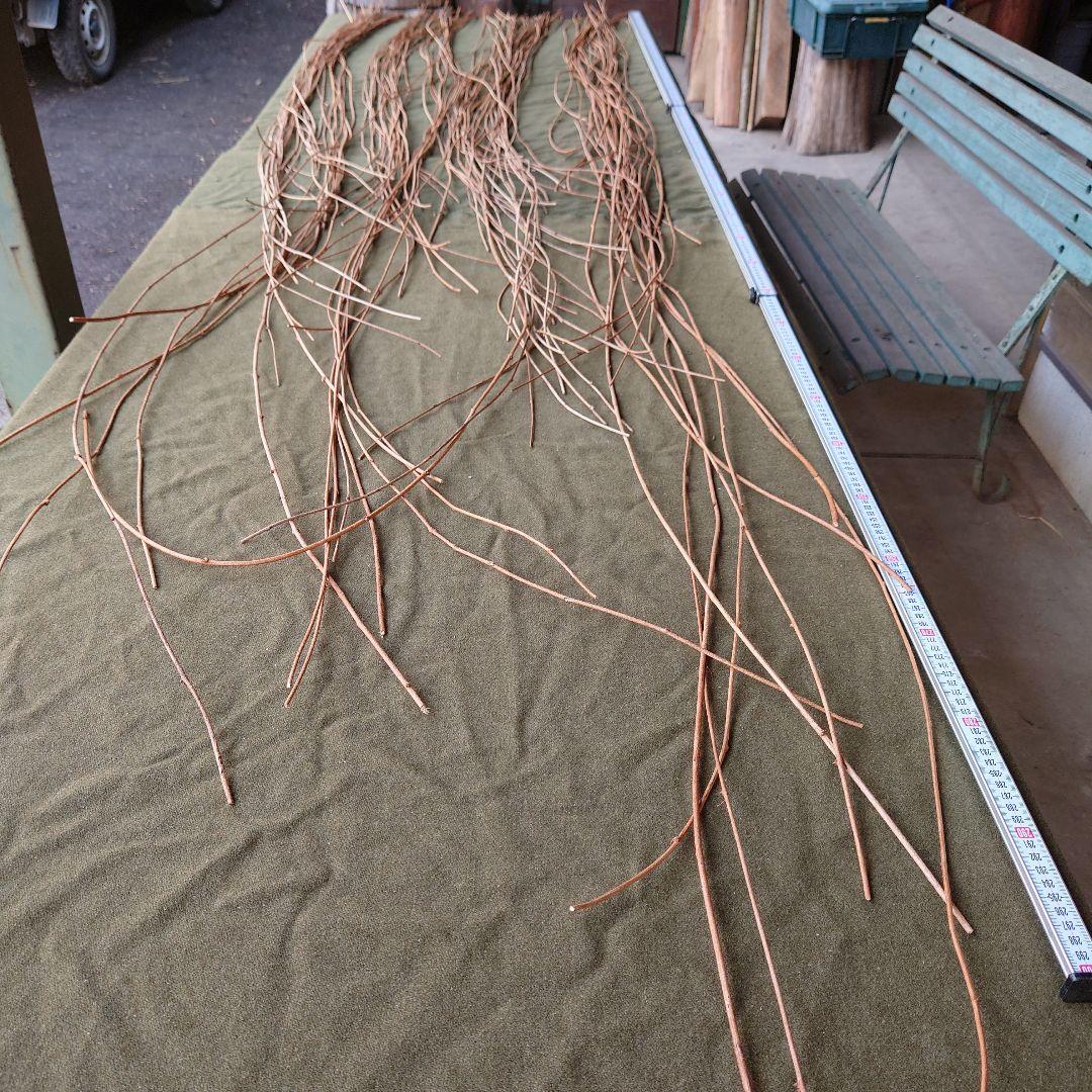 アケビの蔓(根蔓ランナー)