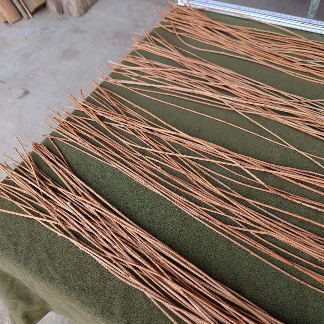 アケビの蔓(根蔓ランナー)