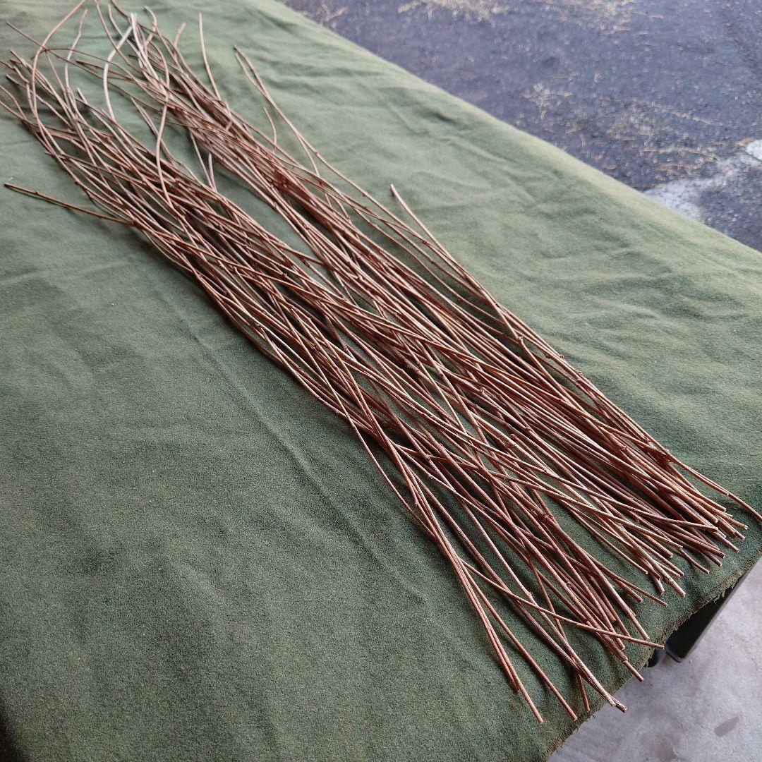 アケビの蔓(根蔓ランナー)