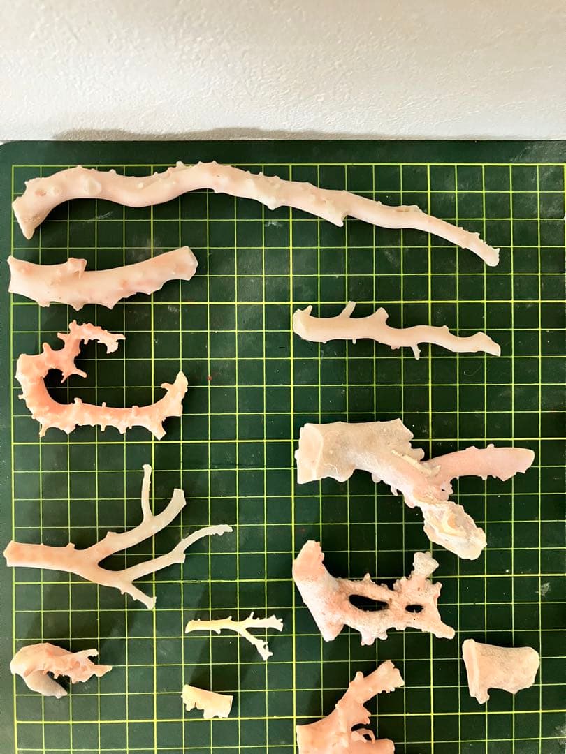 珊瑚　白珊瑚　桃色珊瑚　セット216g 素材　ハンドメイド