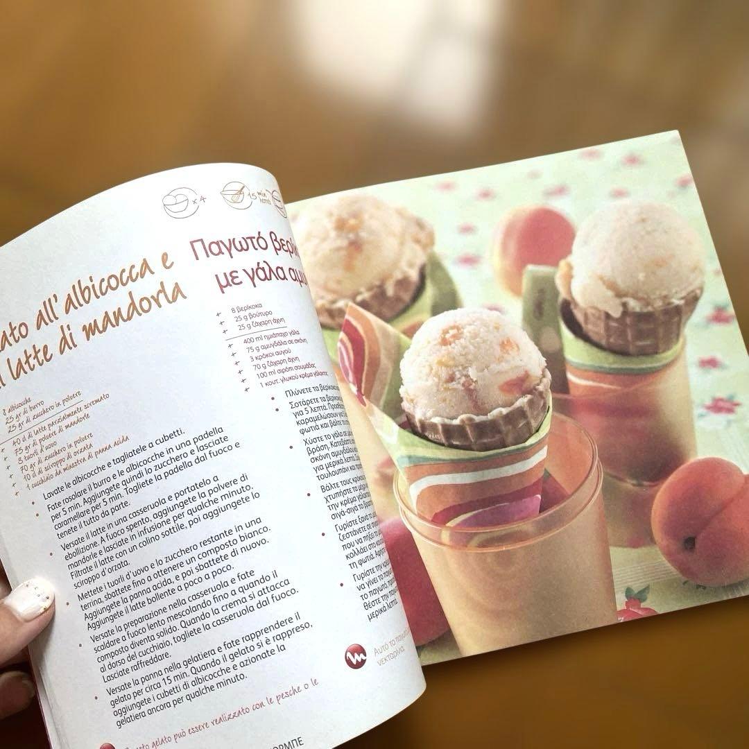 Moulinex gelato アイスクリームメーカー　ジェラートマシーン