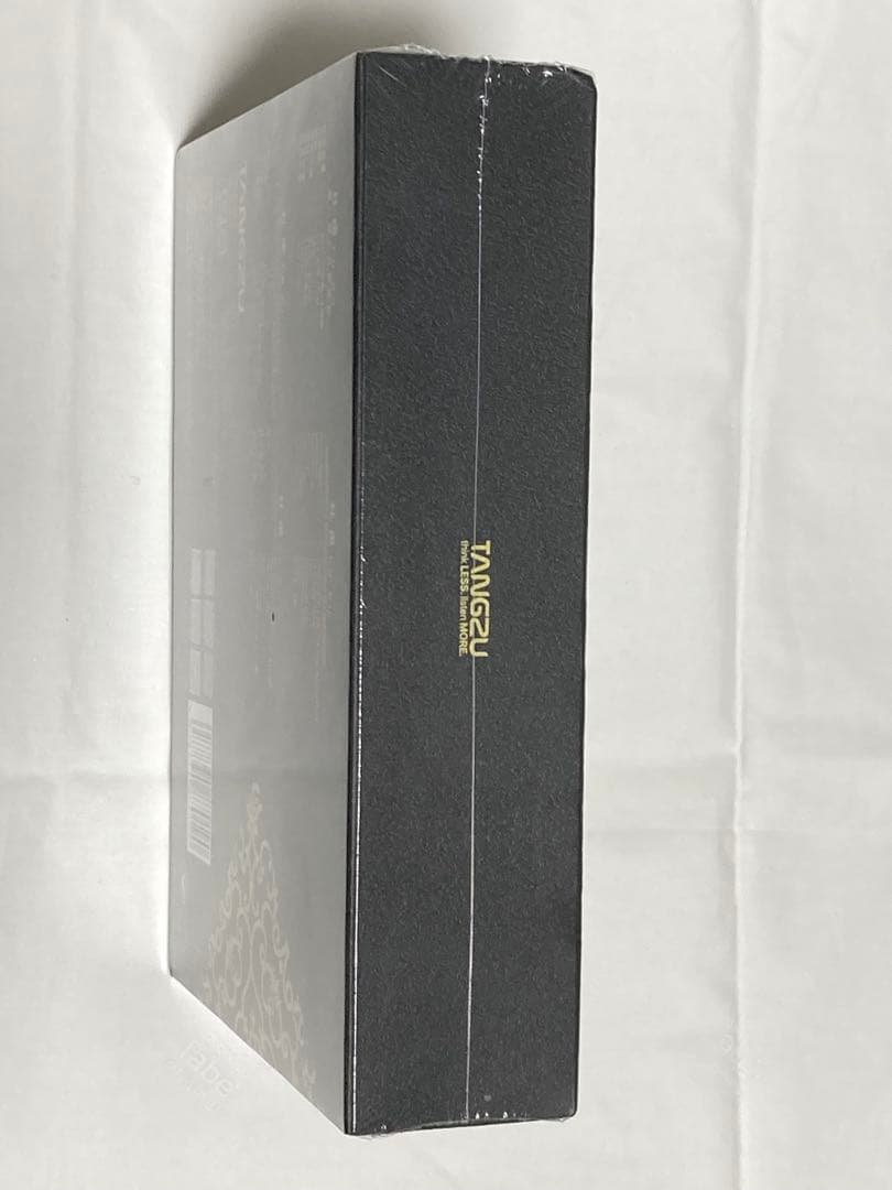 【新品未開封】TANGZU FUDU VERSE ll イヤホン 4.4mm