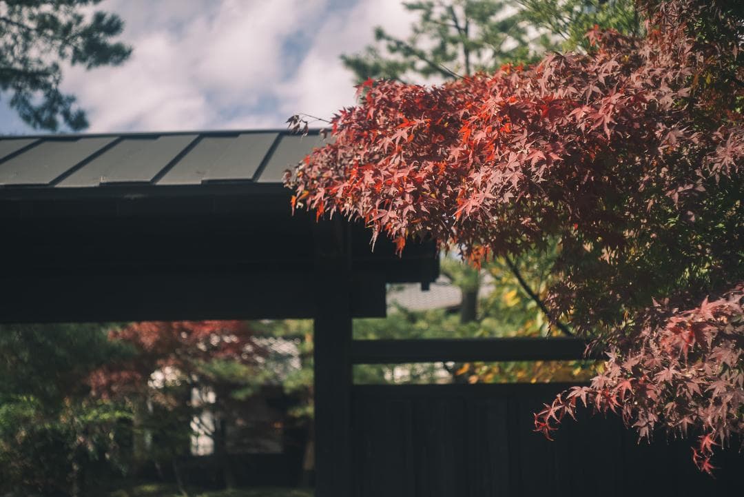 滲み玉！世界初の交換レンズ！Leica Elmar 50mm F3.5