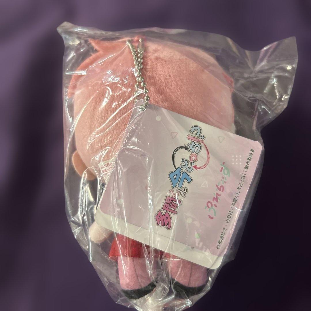 多聞くん今どっち ぷれちゃす ぬいぐるみ 福原多聞 多聞教　イケ原