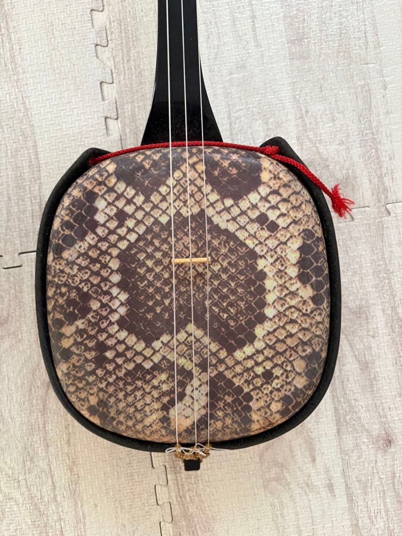 三線 本体 専用ハードケース付き　人口皮