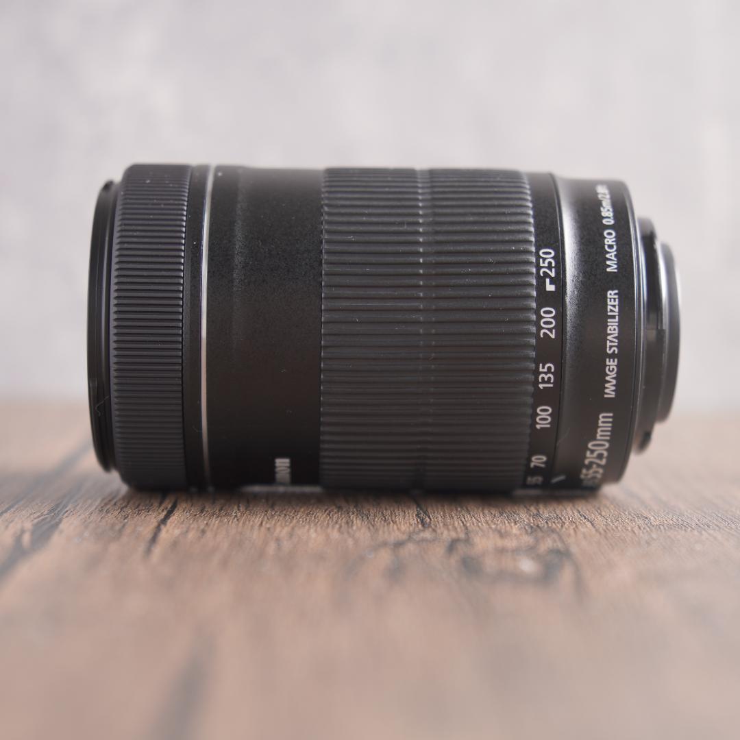 ✨美品超望遠レンズ✨Canon EF-S 55-250mm STM　291-2