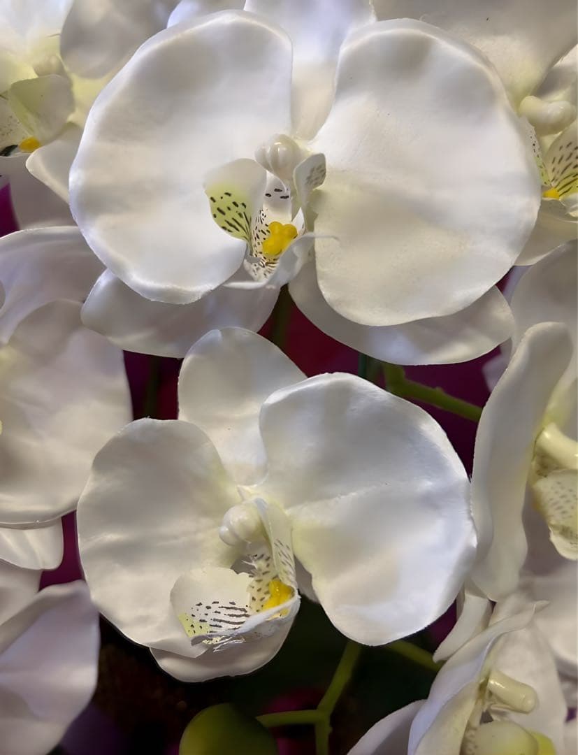 光触媒　人工観葉植物　ウォールグリーン　フェイクグリーン　胡蝶蘭7640tpgj