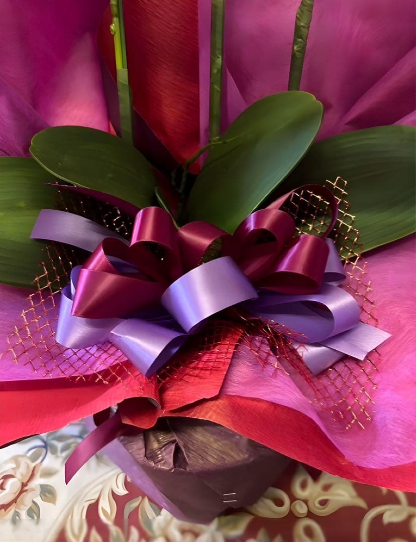 光触媒　人工観葉植物　ウォールグリーン　フェイクグリーン　胡蝶蘭7640tpgj