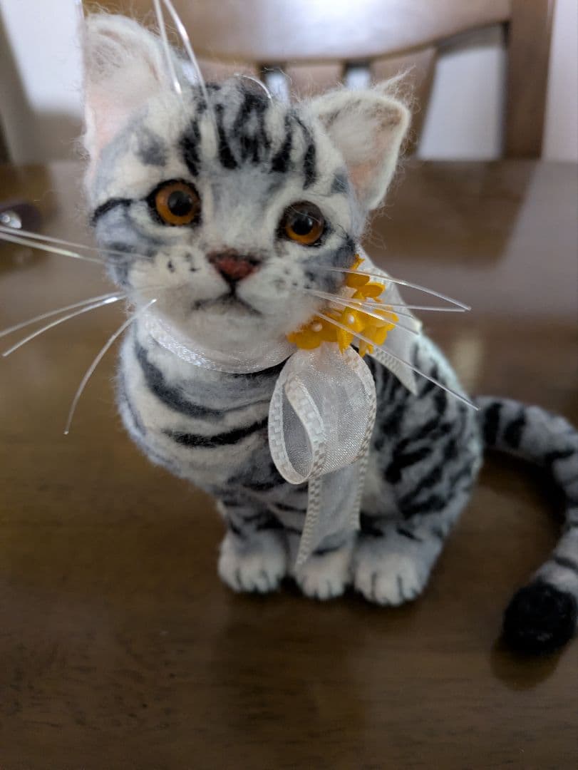 値下げ　サバトラ猫