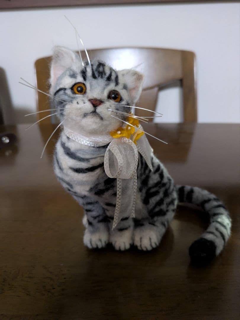 値下げ　サバトラ猫