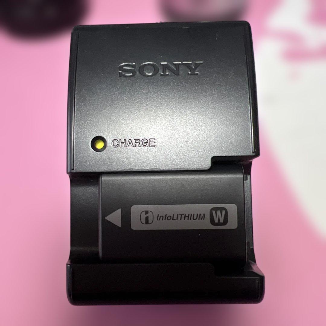 SONY NEX-5 本体 レンズ3本 他 付属品付