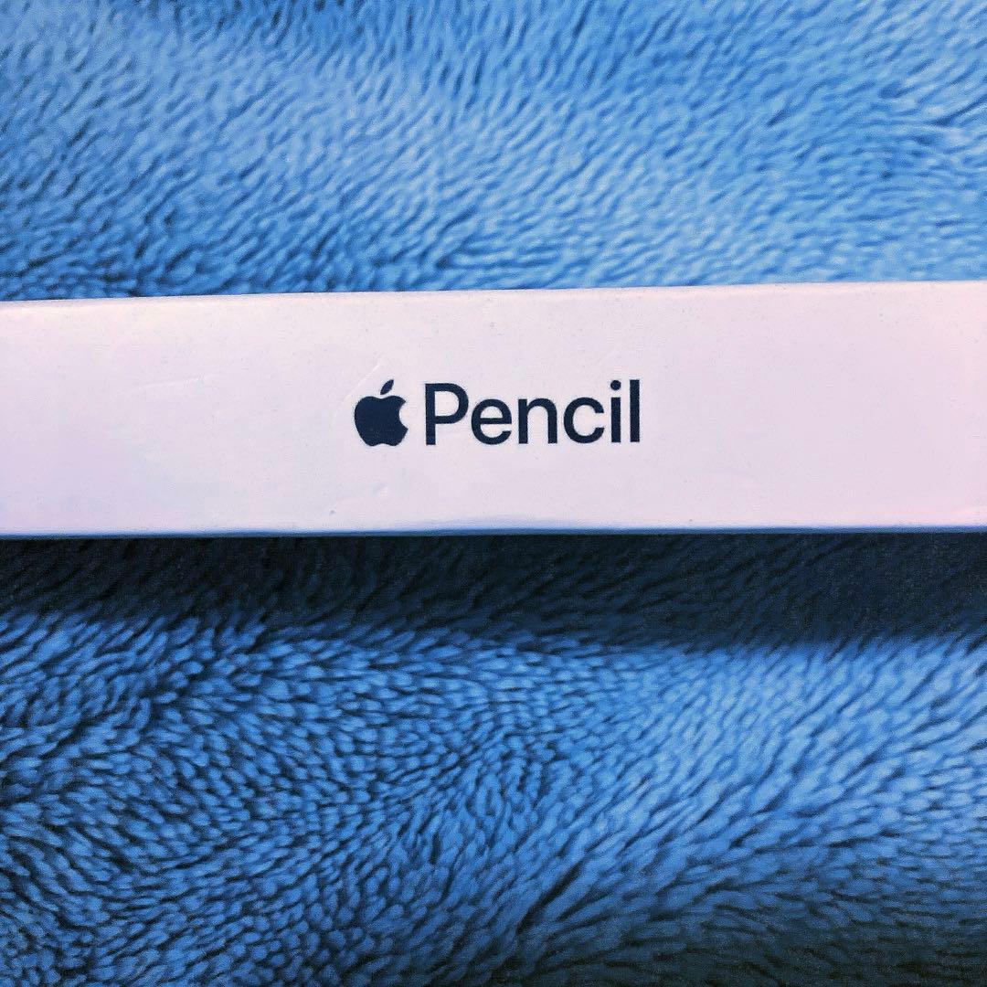 しげる　 純正品 iPad Apple Pencil 第1世代