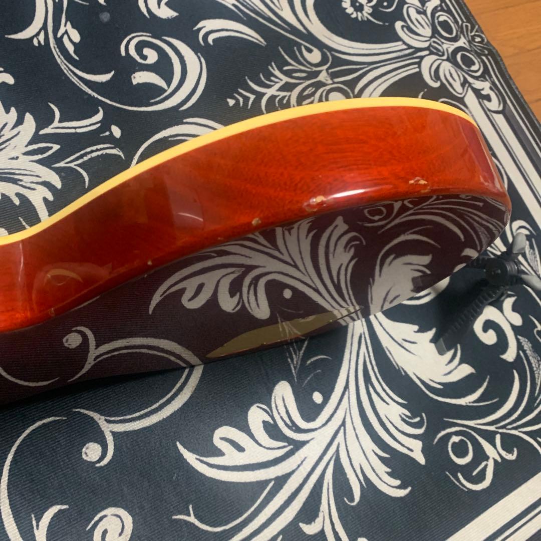 Aria Bitz レスポール Leopard サンバースト 虎目