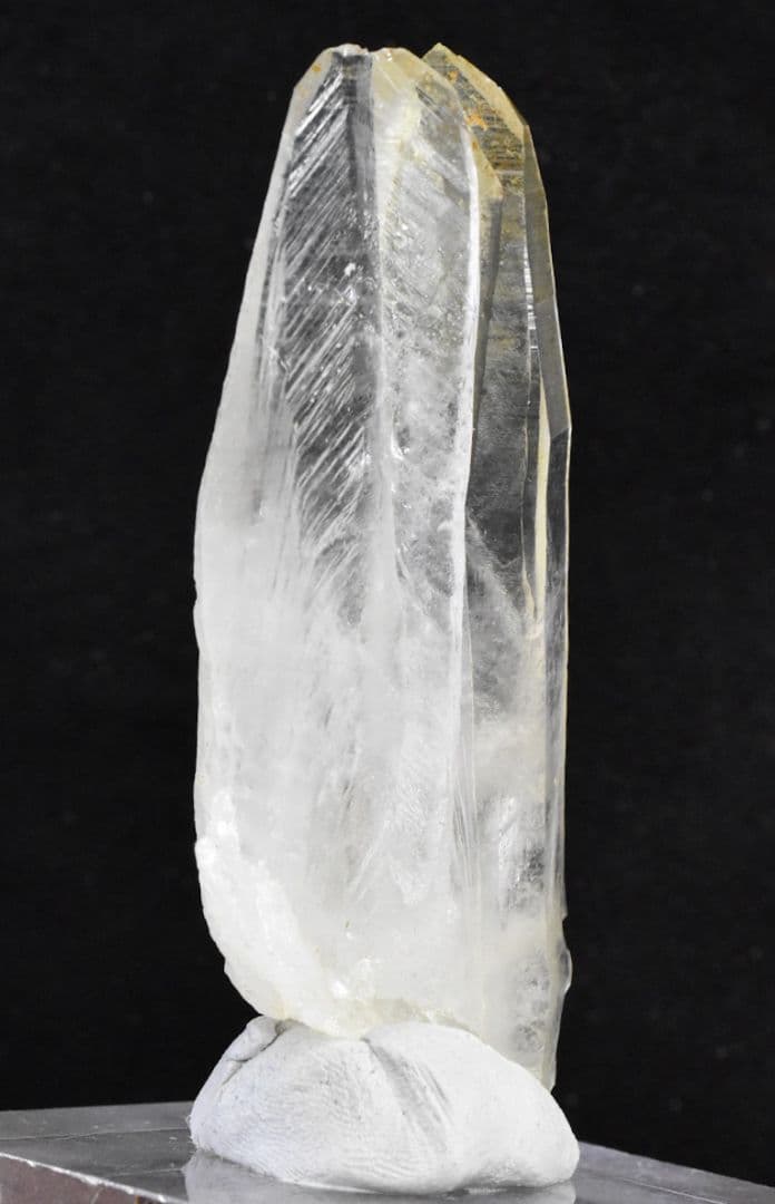 パキスタン シガール渓谷産 ゴールデンヒーラー