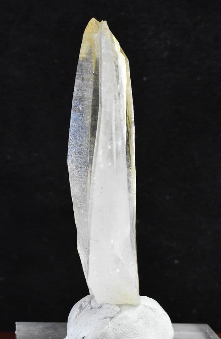 パキスタン シガール渓谷産 ゴールデンヒーラー