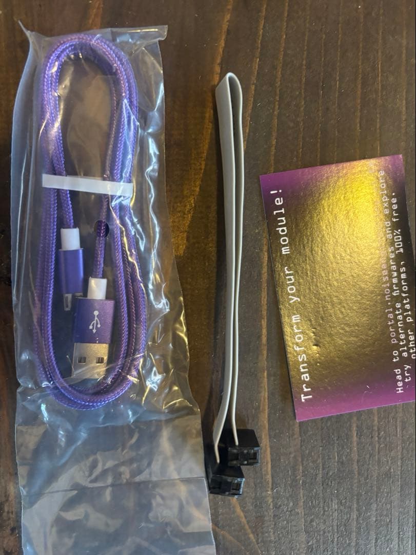 Tymp Legio / Noise Engineering / 美品 / 元箱