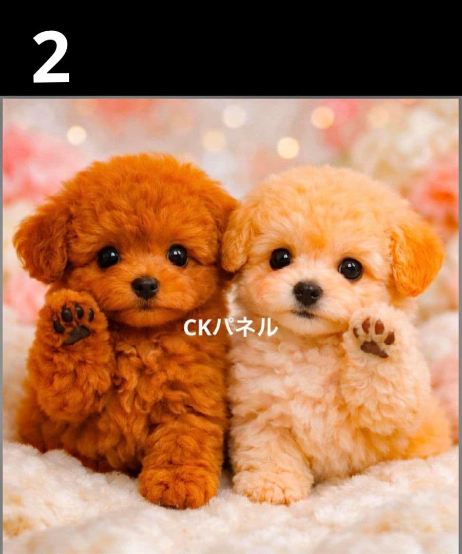 オーダーページ　ハンカチ396 わんこ柄　ハンドメイド1/25