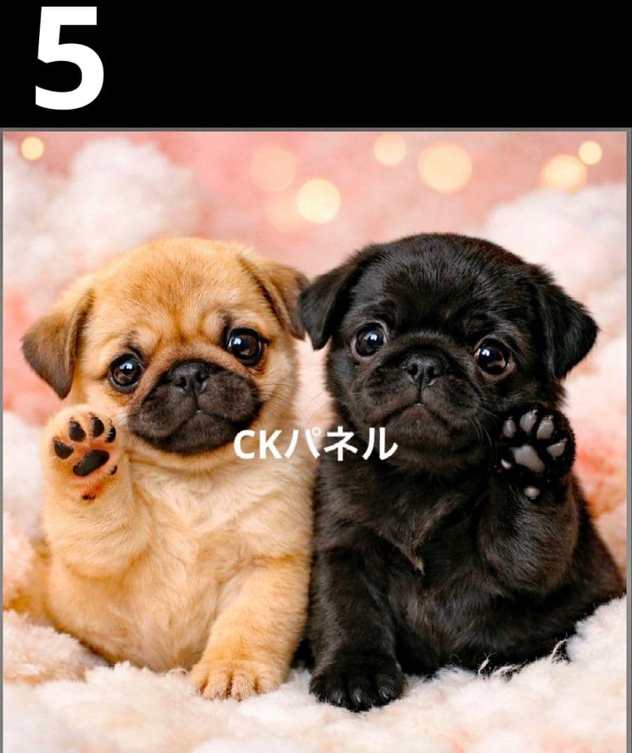 オーダーページ　ハンカチ396 わんこ柄　ハンドメイド1/25