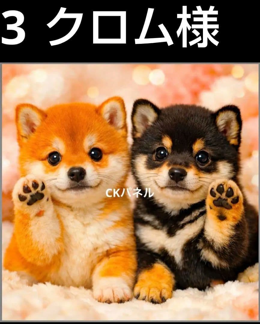 オーダーページ　ハンカチ396 わんこ柄　ハンドメイド1/25