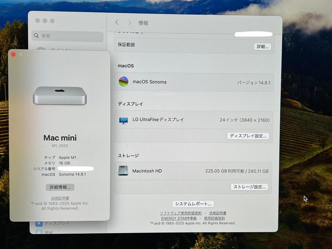 Apple Mac mini 2020 M1/16GB/256GB/8コアGPU