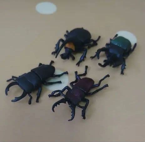 アニアくじ森林の王者昆虫コレクションカブトムシクワガタタカラトミー昆虫絶版廃版