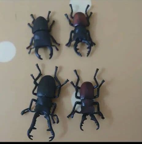 アニアくじ森林の王者昆虫コレクションカブトムシクワガタタカラトミー昆虫絶版廃版