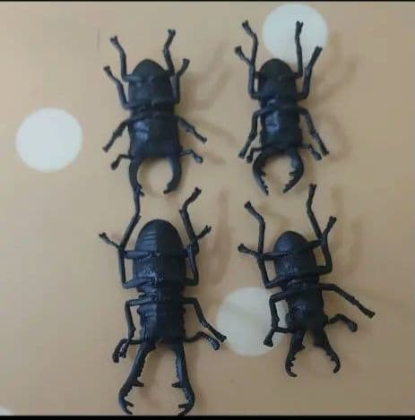 アニアくじ森林の王者昆虫コレクションカブトムシクワガタタカラトミー昆虫絶版廃版