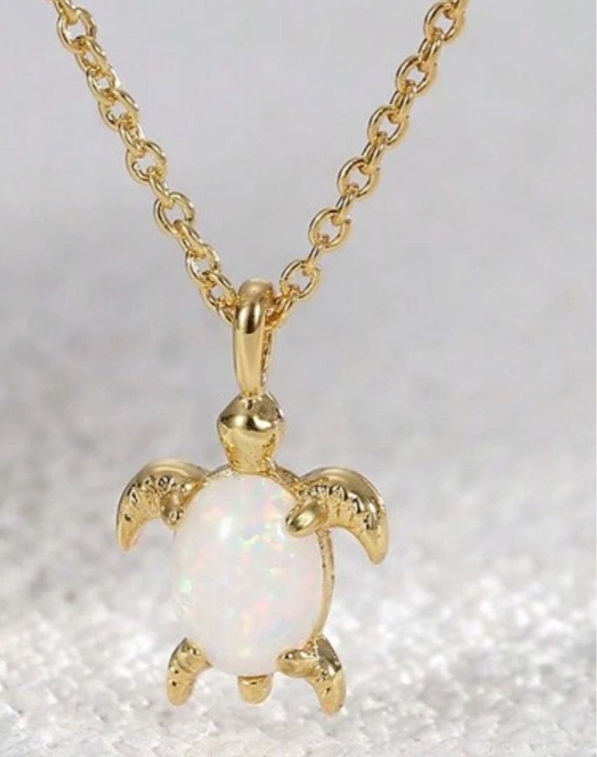 お客アクセサリー