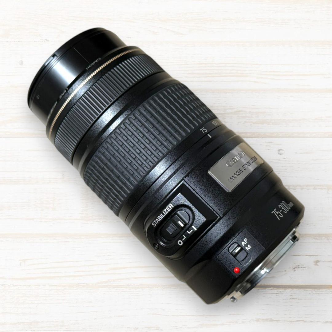 ⭐手ブレ補正⭐ Canon EF 75-300mm F4-5.6 IS USM