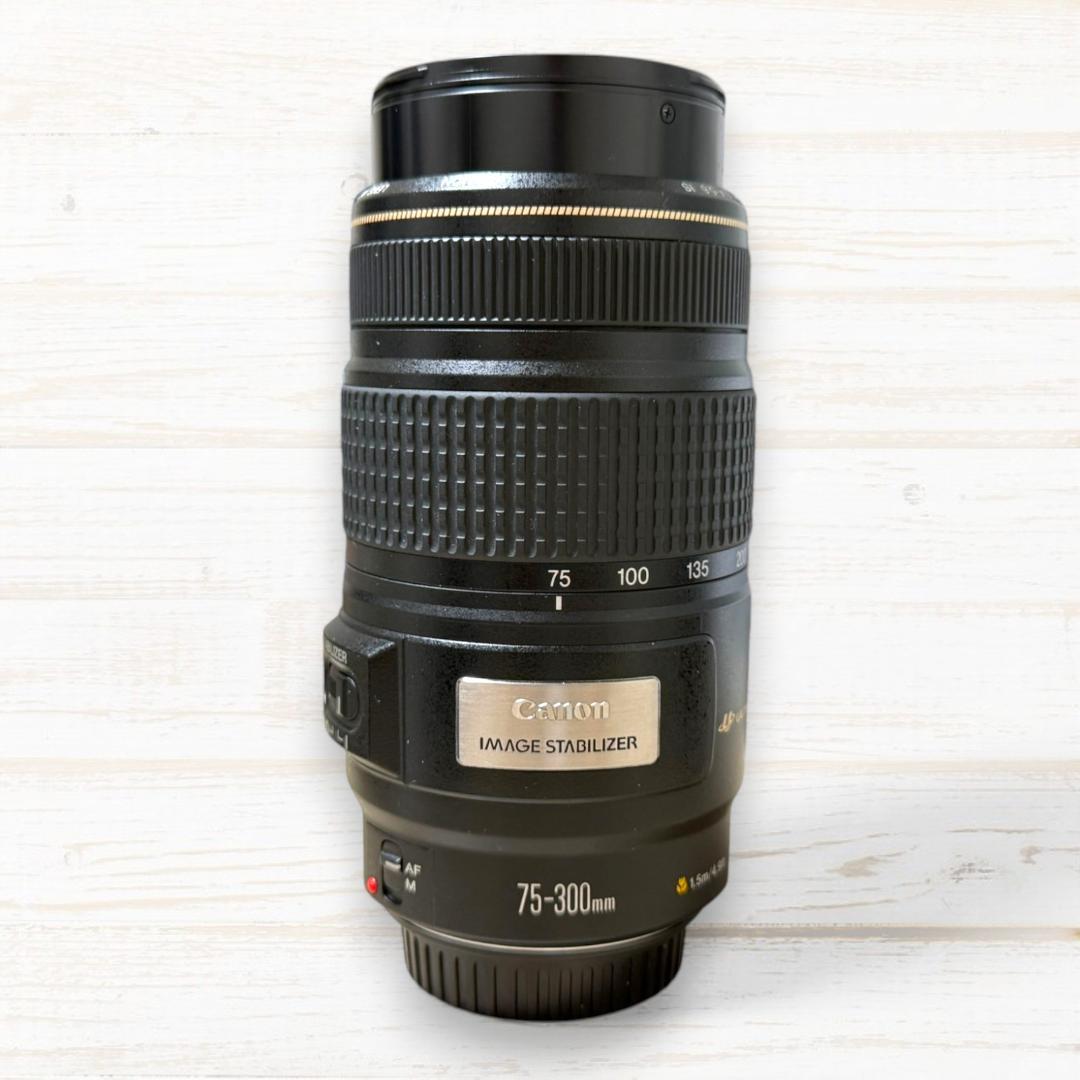 ⭐手ブレ補正⭐ Canon EF 75-300mm F4-5.6 IS USM
