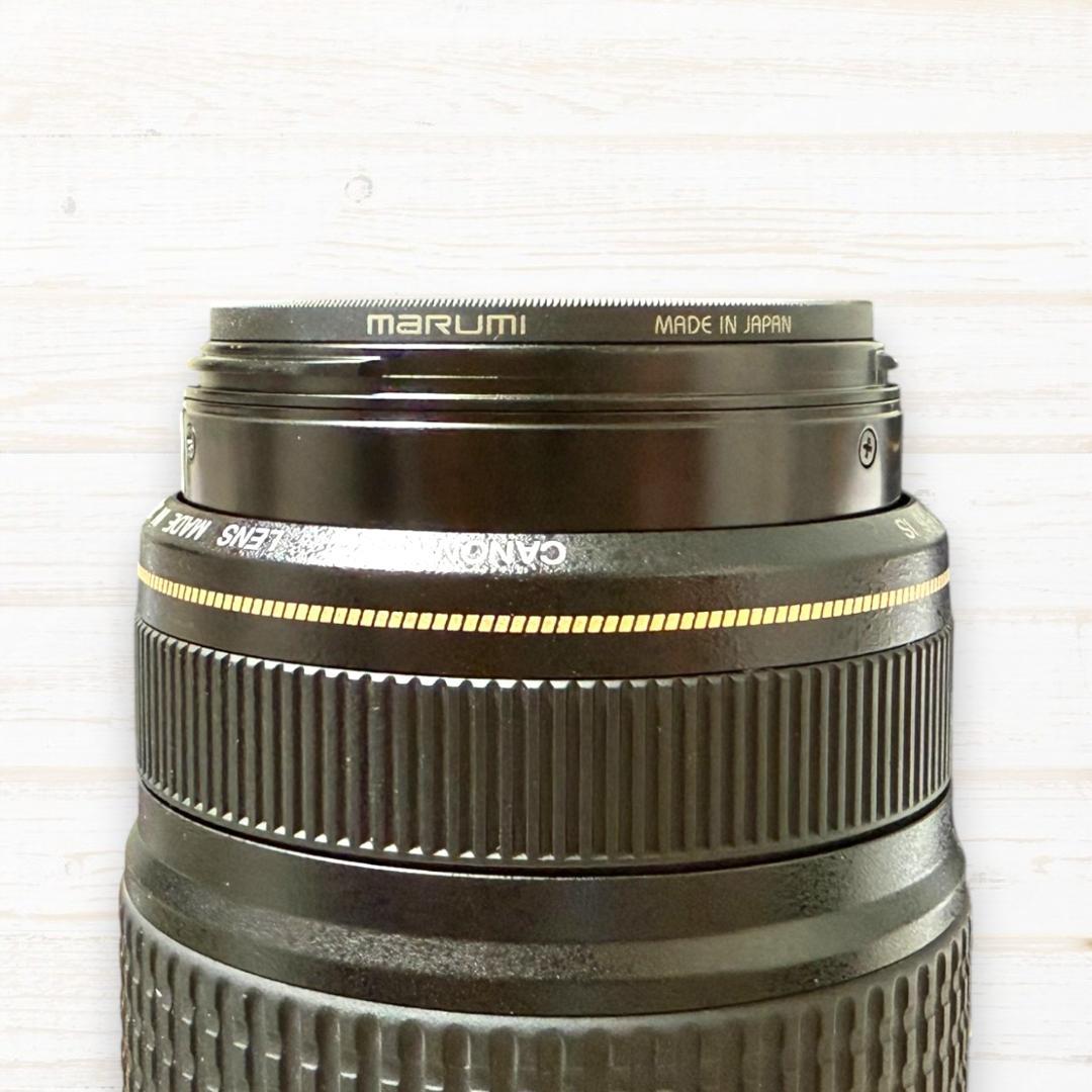 ⭐手ブレ補正⭐ Canon EF 75-300mm F4-5.6 IS USM