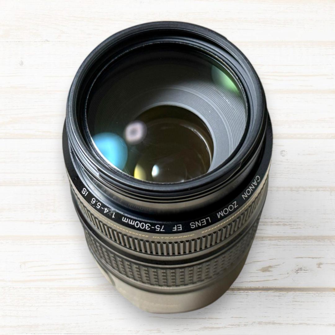 ⭐手ブレ補正⭐ Canon EF 75-300mm F4-5.6 IS USM