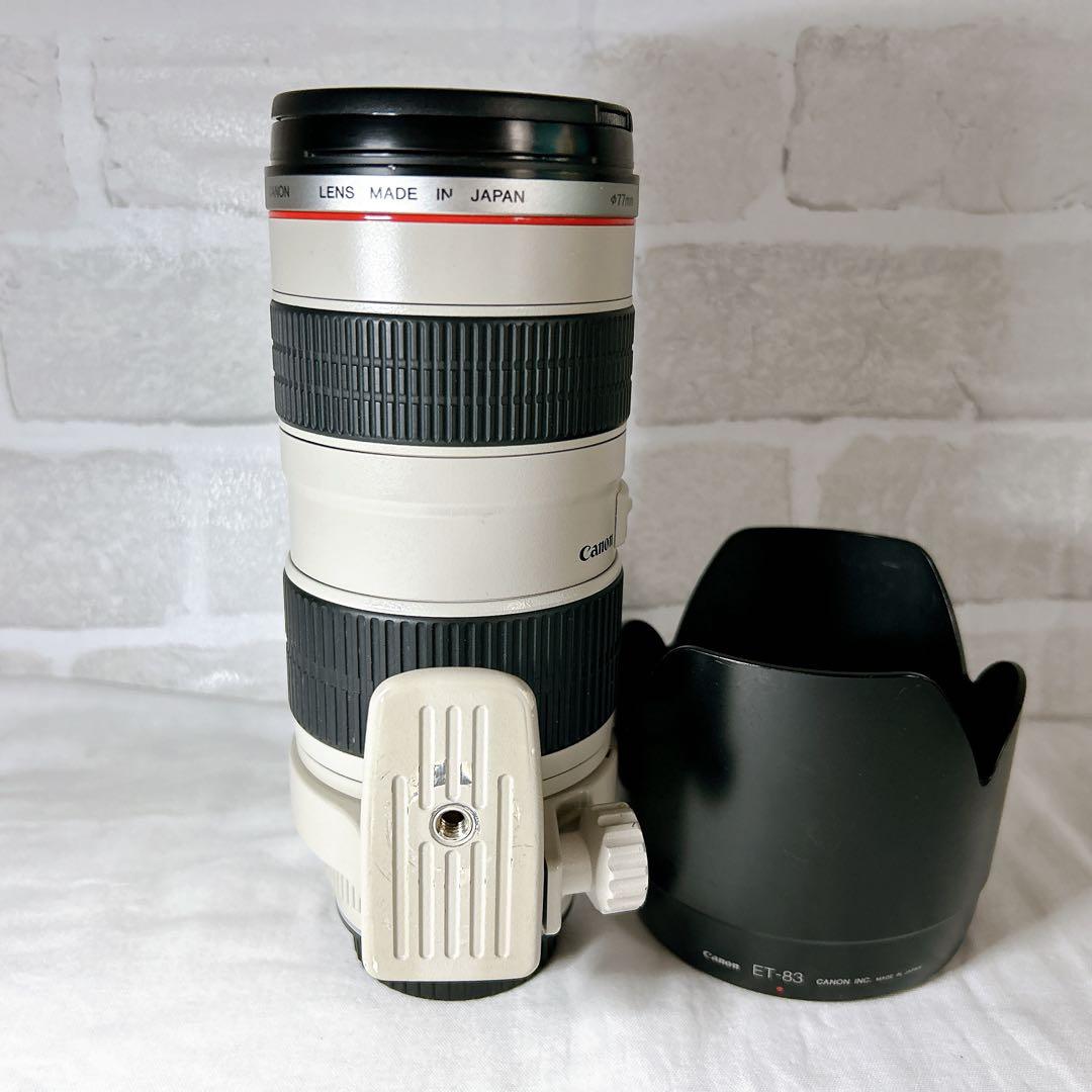 ✨️期間限定セール✨【Canon EF70-200mm F2.8L USM】