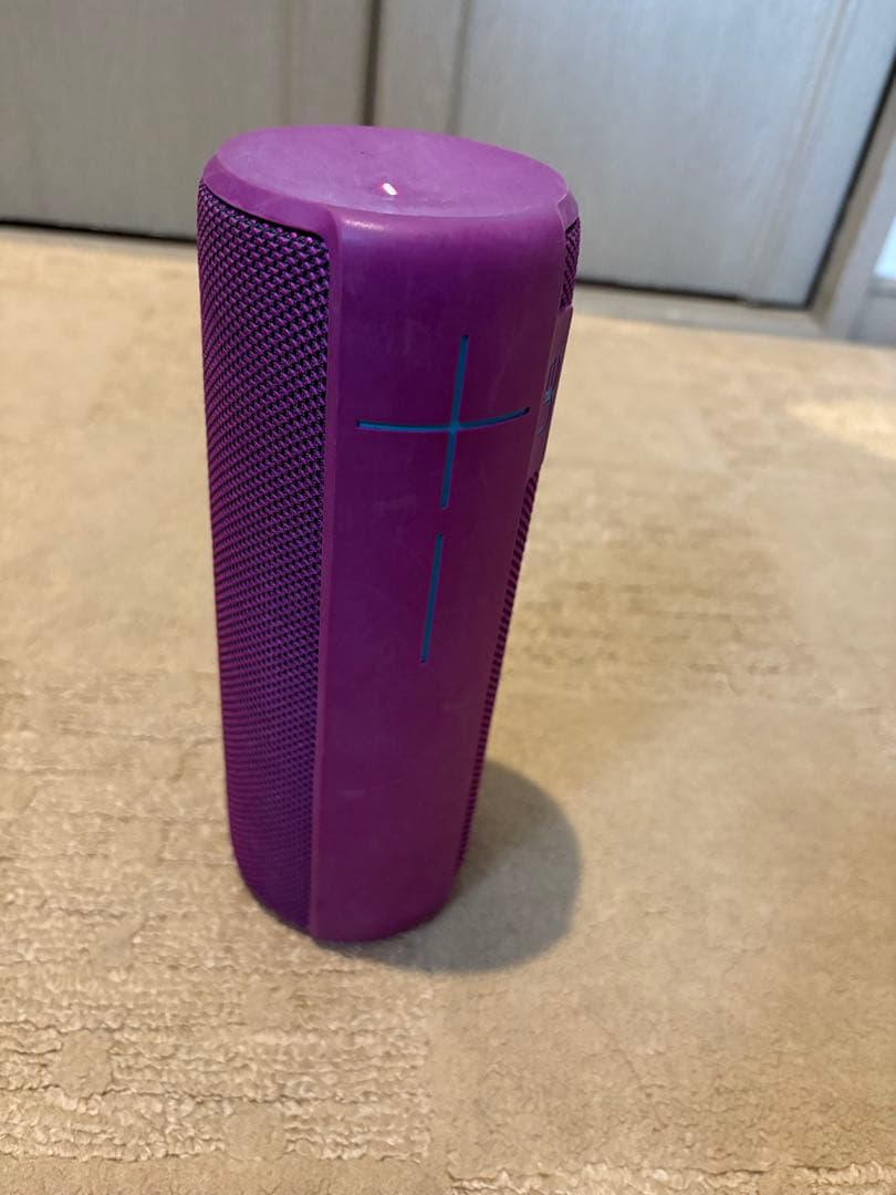 Ultimate Ears UE MEGABOOM【WS900】