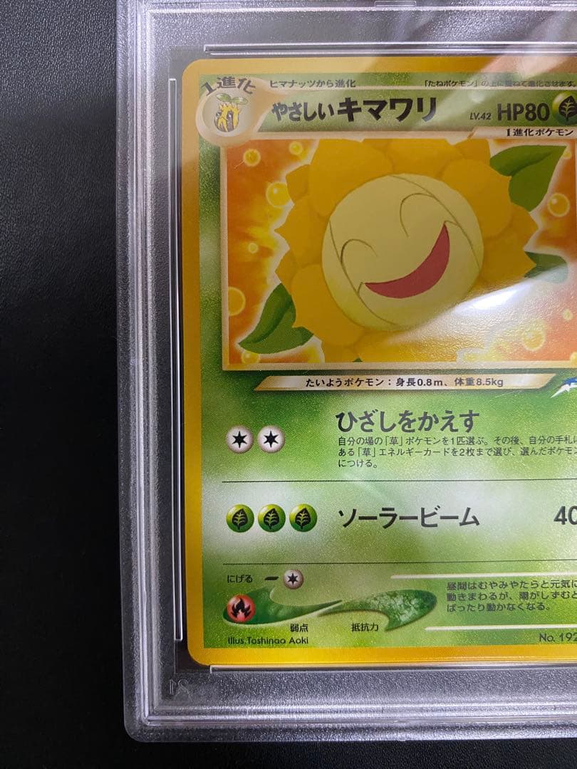 ヒマナッツ やさしいキマワリ 旧裏 PSA10 連番 世界で18枚