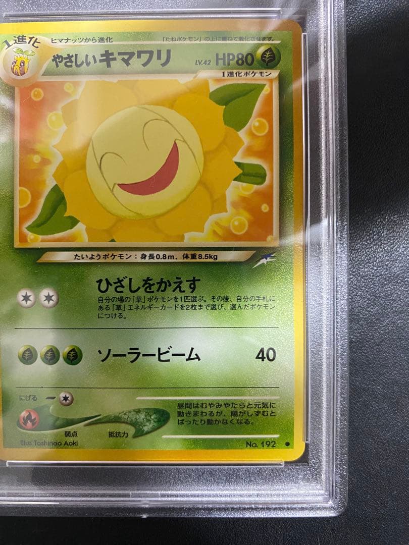 ヒマナッツ やさしいキマワリ 旧裏 PSA10 連番 世界で18枚