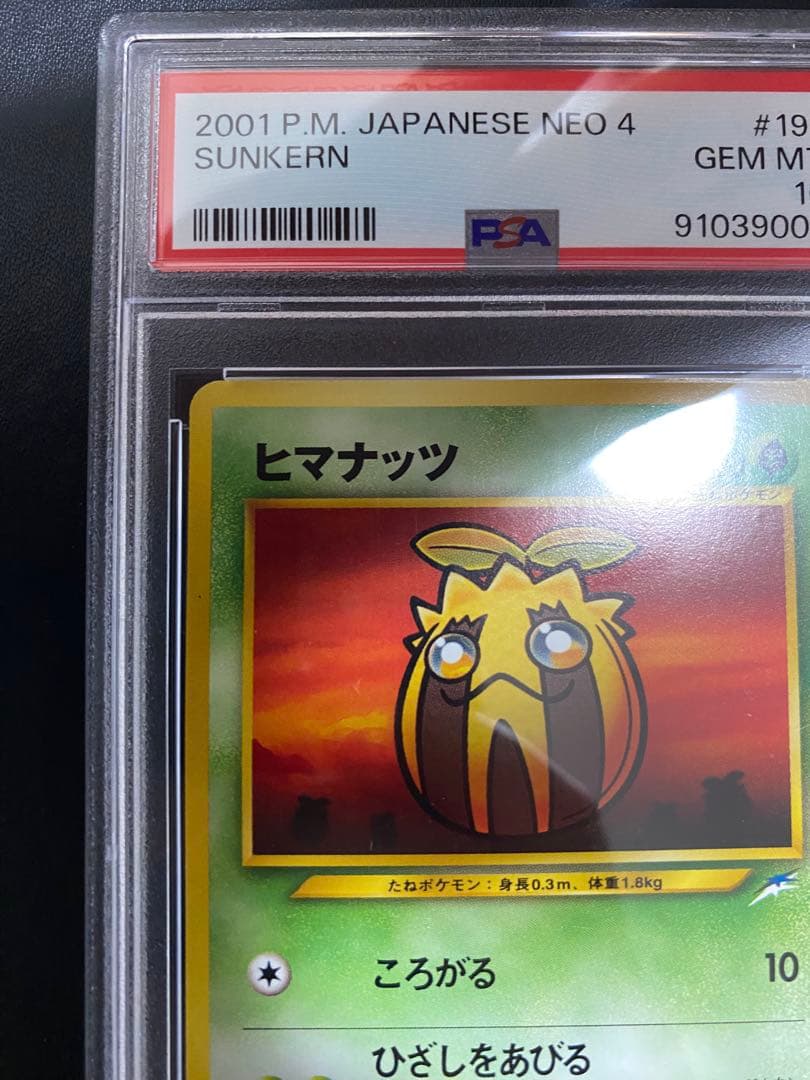 ヒマナッツ やさしいキマワリ 旧裏 PSA10 連番 世界で18枚